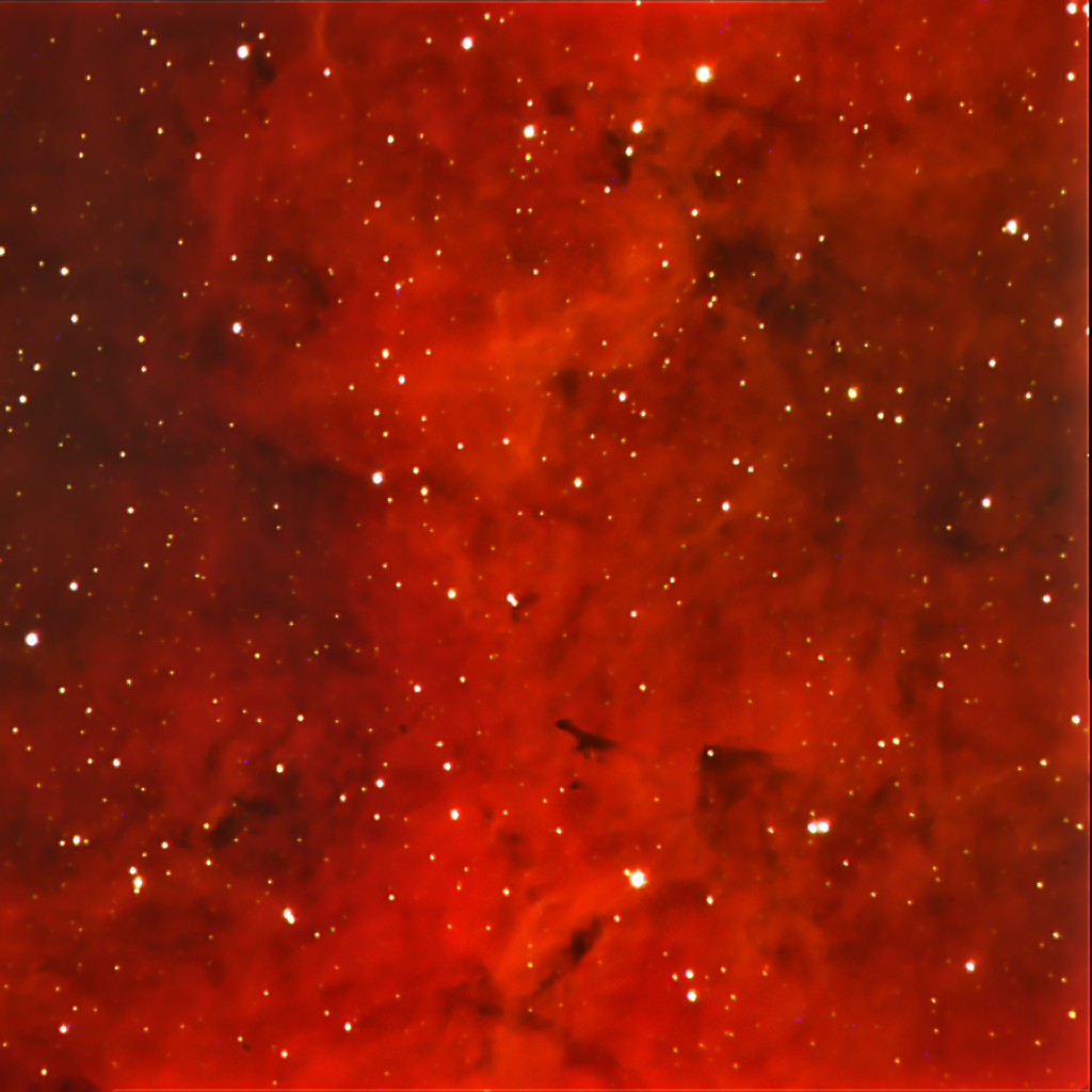 IC1318, Northern Section